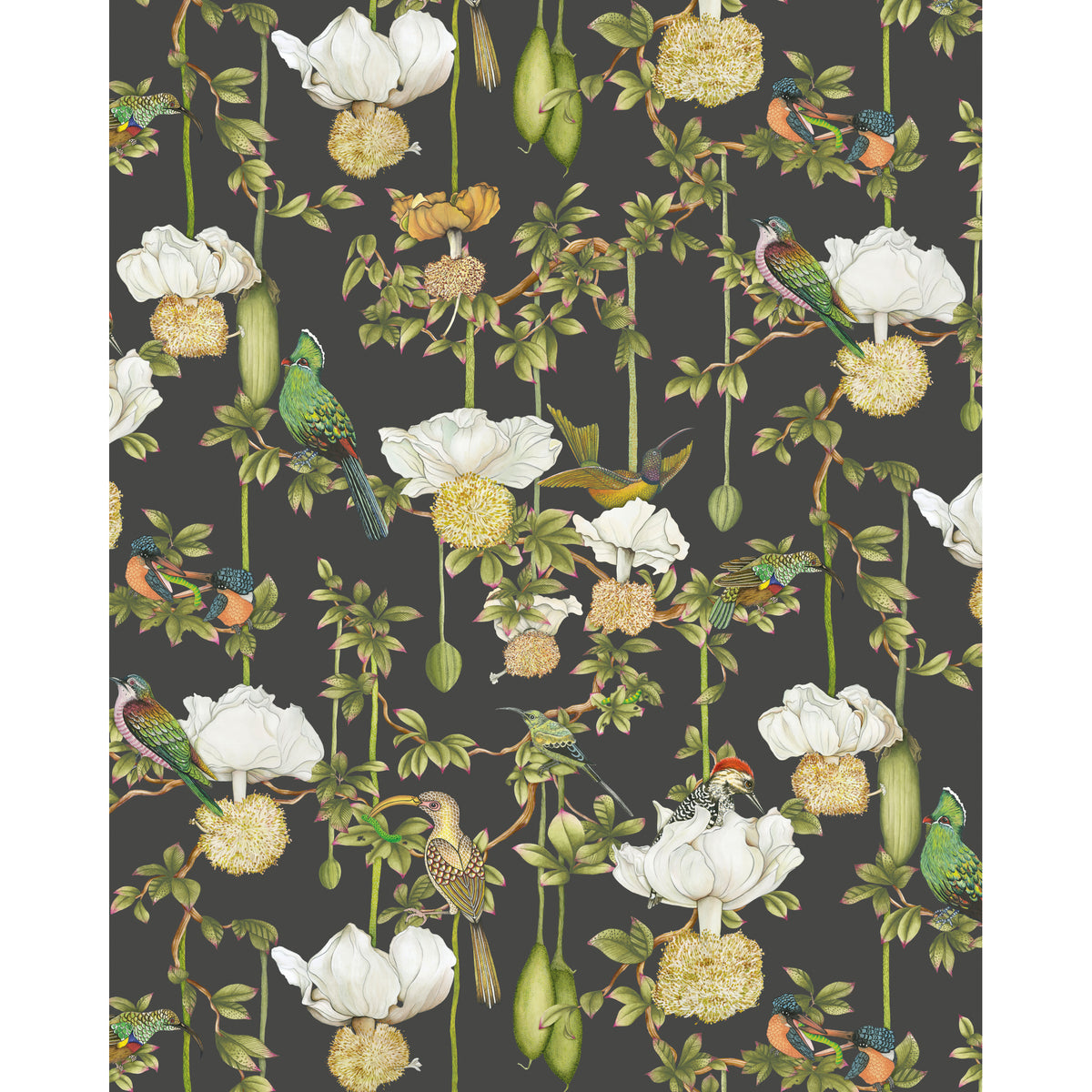 129/2009-CS COLE & SON BAOBAB BOTANICA ONYX