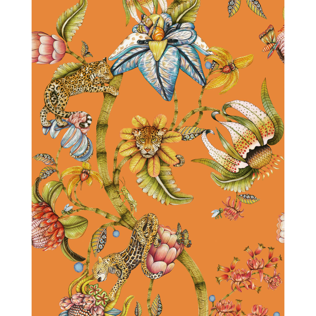 129/6022-CS COLE & SON PROTEA PANTHERA CLEMENTINE
