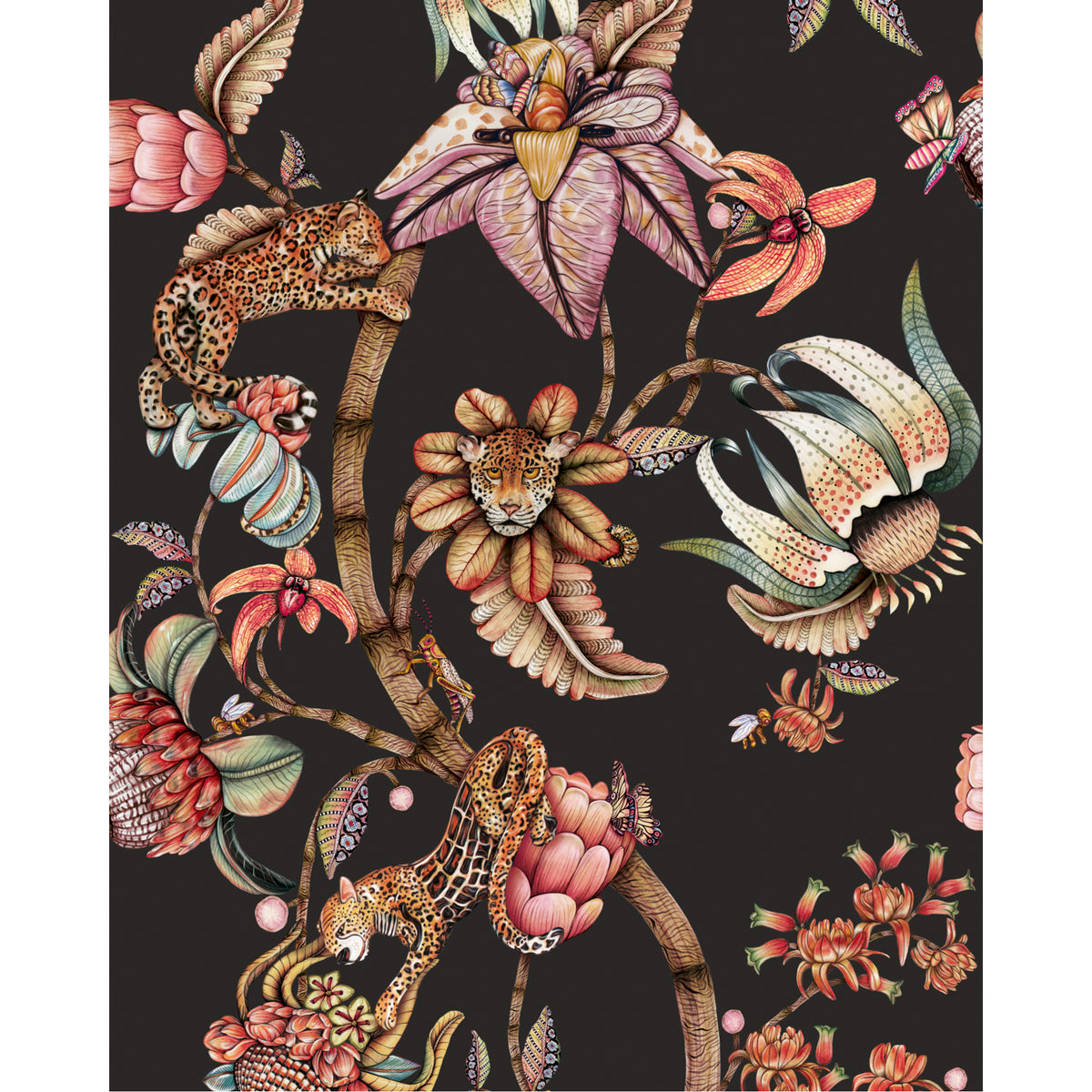 129/6023-CS COLE & SON PROTEA PANTHERA ONYX