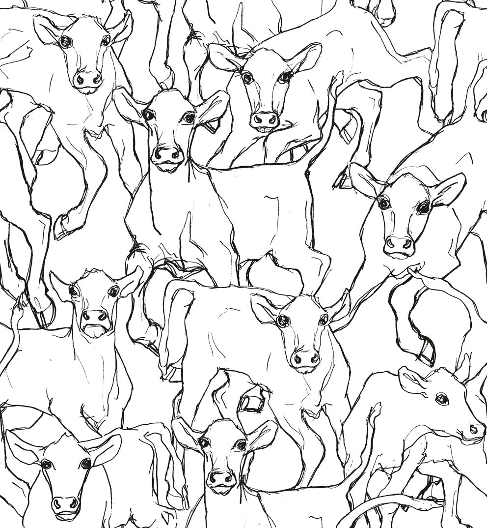 14106X Marimekko Marimekko Vol. 5 Wallpaper Iltavilli Ebony and Cream