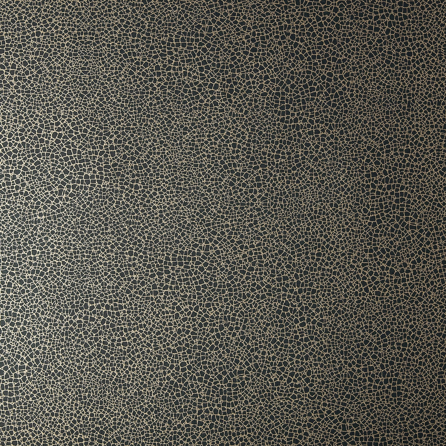 190714106 1838-Wallcoverings WALLPAPER - WP # 06 JET ELODIE