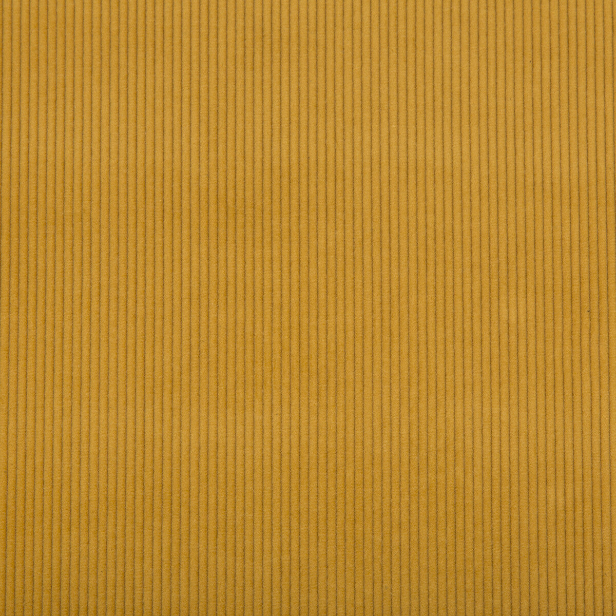 2017121-40 SARANAC CORD GOLD LEE JOFA UPHOLSTERY