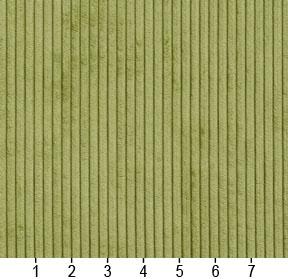 20700-01 Plain & Solid,Small Scale,Stripe nan Green Charlotte Select
