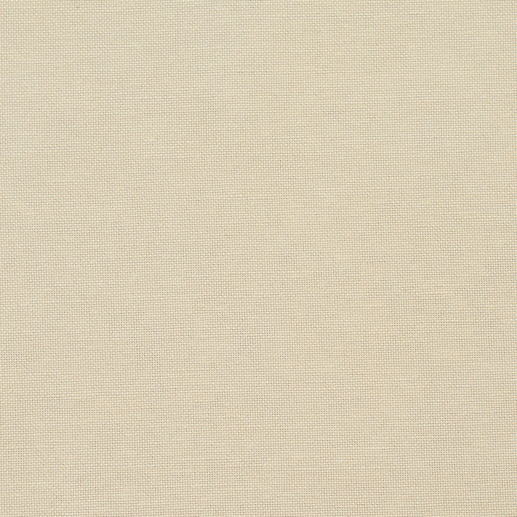 20900-05 Plain & Solid nan White & Ivory Charlotte Select