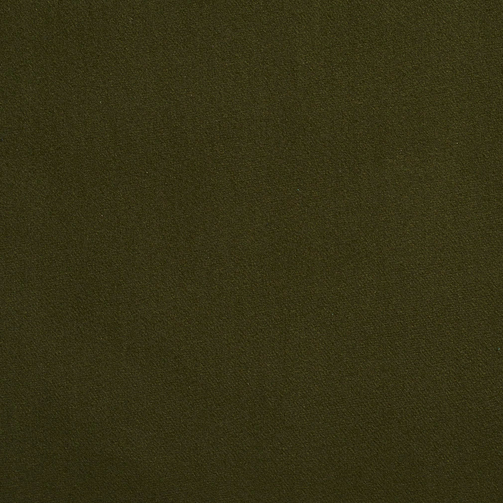 2215 Plain & Solid Forest Green Charlotte Fabrics