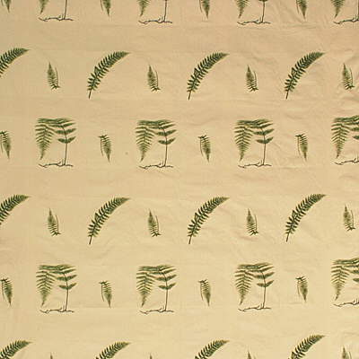 25432-3 SOFT FERN IVY KRAVET COUTURE UPHOLSTERY