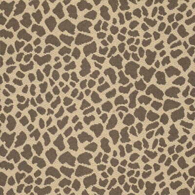 27500-616 DAKTARI LEOPARD KRAVET BASICS Fabrics Drapery Upholstery