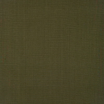 27591-3303 STONE HARBOR JUNGLE KRAVET BASICS Fabrics Drapery Upholstery
