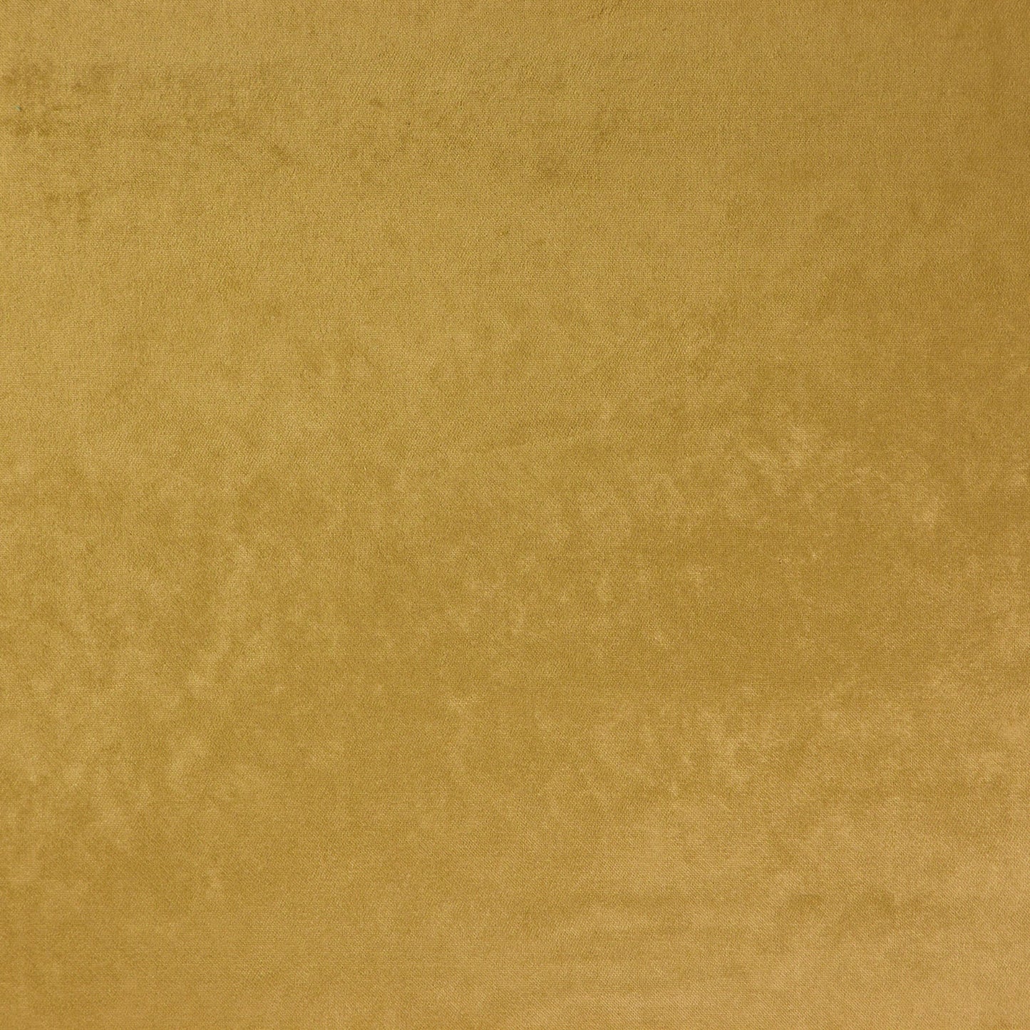 284031 Maxwell VELVET SOLID/TEXTURE # 31 IGUANA GLAMVELVET