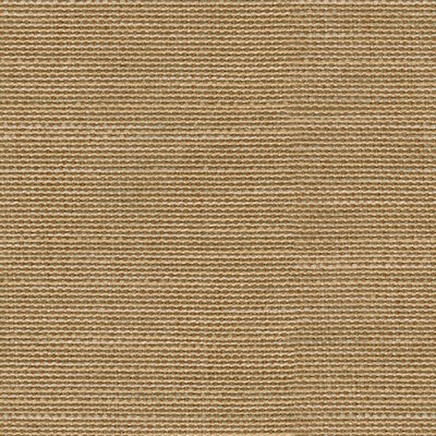 31460-4 SINO CLOTH KUMQUAT KRAVET COUTURE UPHOLSTERY
