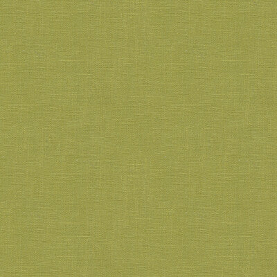 32344-3 DUBLIN MEADOW KRAVET BASICS Fabrics Drapery Upholstery