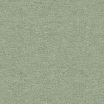 32344-30 DUBLIN LEAF KRAVET BASICS Fabrics Drapery Upholstery