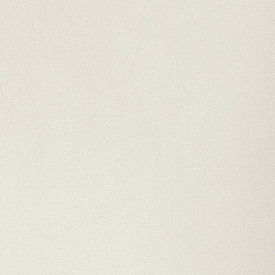 33120-100 KRAVET BASICS 33120-100 KRAVET BASICS Fabrics Drapery Upholstery