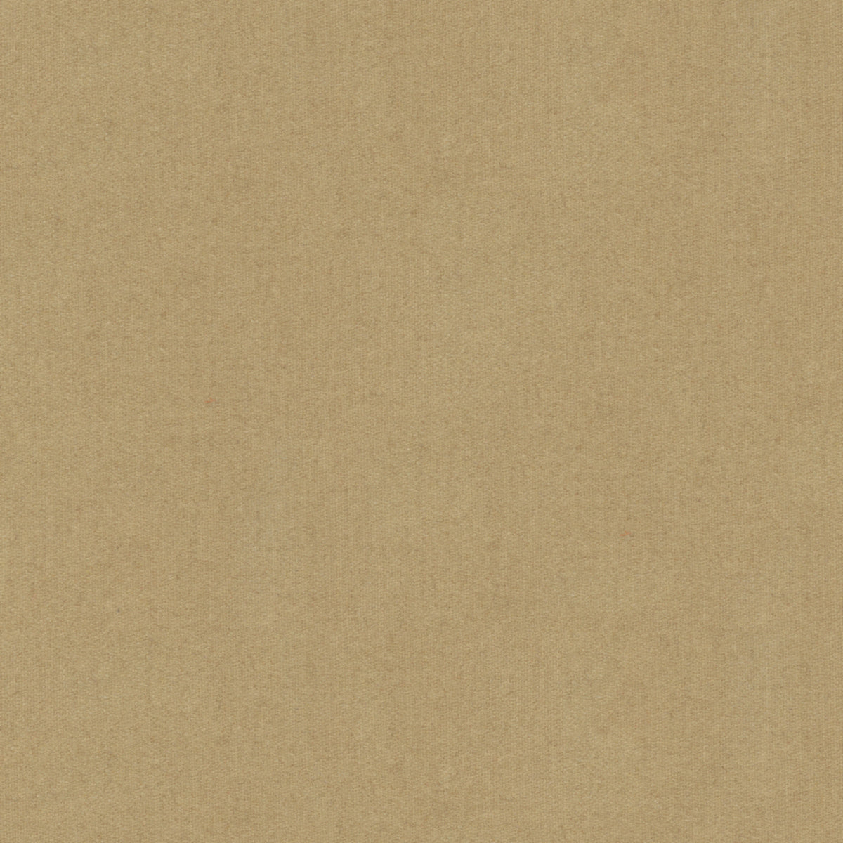 8013149-116 BRUNSCHWIG & FILS CHEVALIER WOOL PUTTY