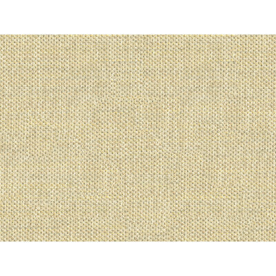 33443-411 DO THE HUSTLE PLATINUM KRAVET COUTURE UPHOLSTERY