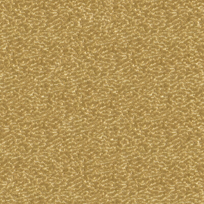33514-16 TURN HEADS VANILLA KRAVET COUTURE UPHOLSTERY