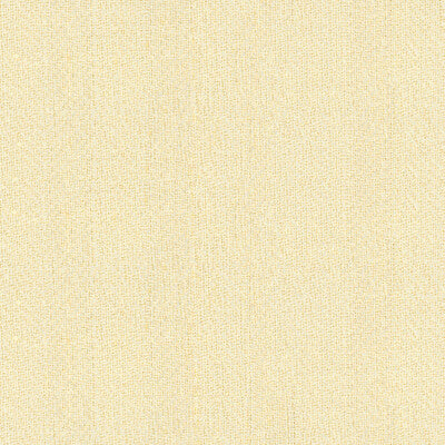 33778-1 KRAVET BASICS 33778-1 KRAVET BASICS Fabrics Drapery Upholstery