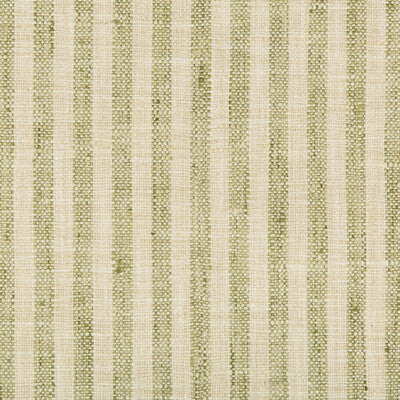34080-13 KRAVET BASICS 34080-13 KRAVET BASICS Fabrics Drapery Upholstery