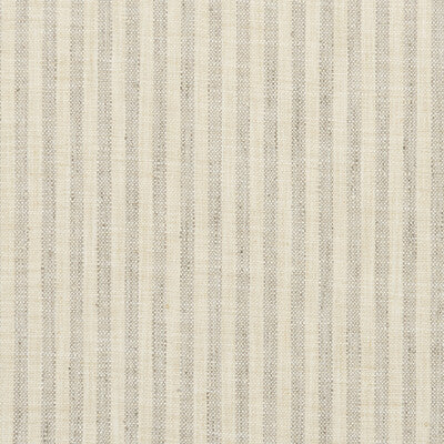 34080-1611 KRAVET BASICS 34080-1611 KRAVET BASICS Fabrics Drapery Upholstery