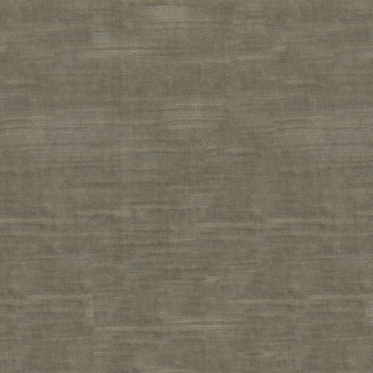 8016103-1611 BRUNSCHWIG & FILS LAZARE VELVET DOVE