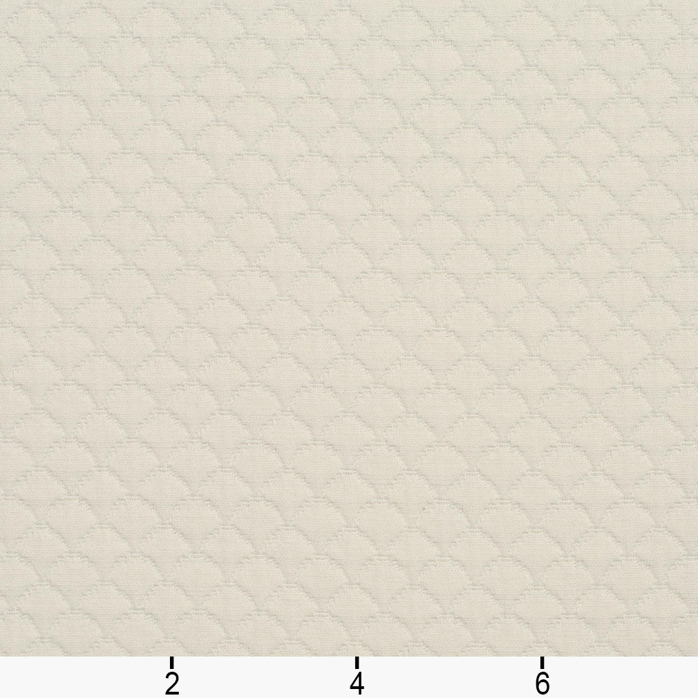 3464 Small Scale Shell White & Ivory Charlotte Fabrics