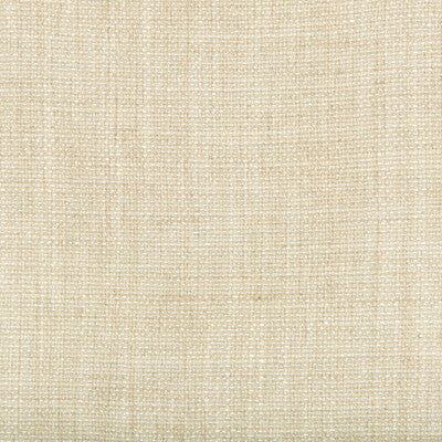 35189-1116 KRAVET BASICS 35189-1116 KRAVET BASICS Fabrics Drapery Upholstery