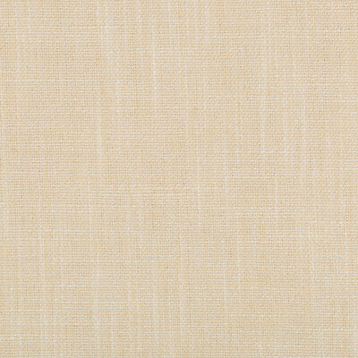 35226-116 KRAVET SMART 35226-116 KRAVET SMART Fabrics Drapery Upholstery