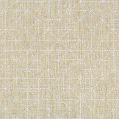 35380-116 APPOINTED PAPYRUS KRAVET DESIGN Fabrics Drapery Upholstery