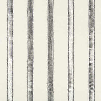 35528-51 KRAVET BASICS 35528-51 KRAVET BASICS Fabrics Drapery Upholstery
