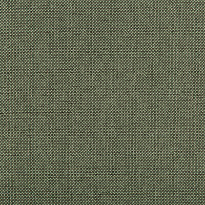 35744-321 WILLIAMS PISTACHIO KRAVET CONTRACT UPHOLSTERY