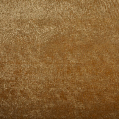 36065-12 TRIUMPHANT TUSCAN KRAVET COUTURE UPHOLSTERY