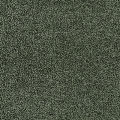 36074-33 BARTON CHENILLE FERN KRAVET SMART UPHOLSTERY