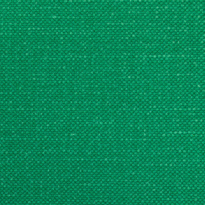 36282-3 CARSON SHAMROCK KRAVET BASICS UPHOLSTERY