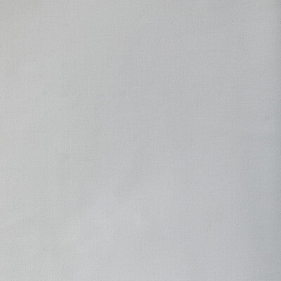 36656-1101 KRAVET BASICS 36656-1101 KRAVET BASICS Fabrics Drapery Upholstery
