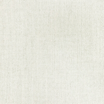 36826-111 KRAVET BASICS 36826-111 KRAVET BASICS Fabrics Drapery Upholstery