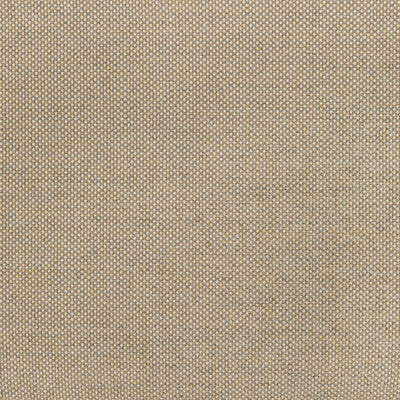36826-116 KRAVET BASICS 36826-116 KRAVET BASICS Fabrics Drapery Upholstery