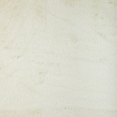 36896-1 KRAVET BASICS 36896-1 KRAVET BASICS Fabrics Drapery Upholstery