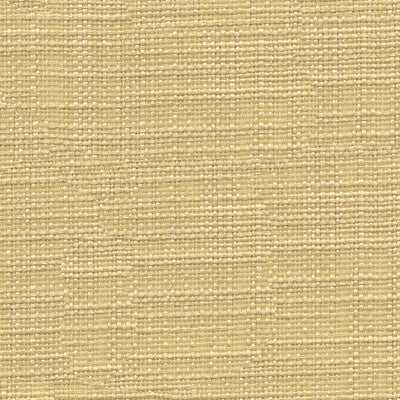 3767-116 KRAVET BASICS 3767-116 KRAVET BASICS DRAPERY