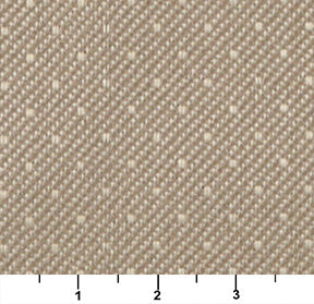 3805 Plain & Solid Beach Beige & Taupe Charlotte Fabrics