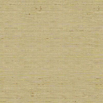 3807-1616 KRAVET BASICS 3807-1616 KRAVET BASICS DRAPERY