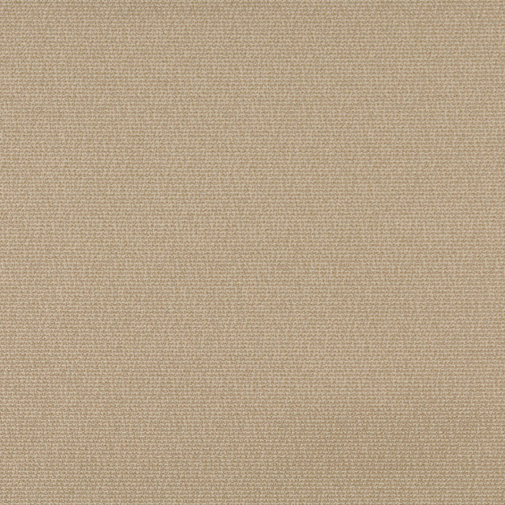 3821 Plain & Solid Wheat Beige & Taupe Charlotte Fabrics