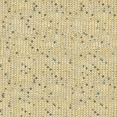 3973-1 THE HIGH LIFE CHAMPAGNE KRAVET COUTURE DRAPERY