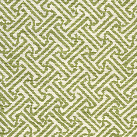 4010-37 JAVA JAVA New Jungle on Tinted Linen Cotton Quadrille Fabric