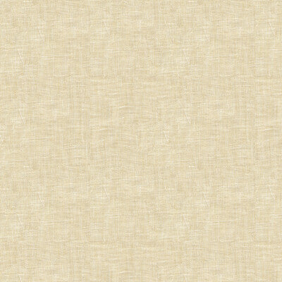 4038-1116 KRAVET DESIGN 4038-1116 KRAVET DESIGN DRAPERY