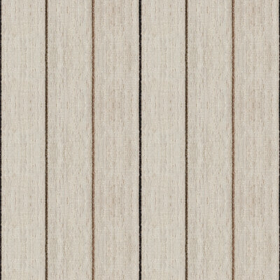 4045-1611 KRAVET DESIGN 4045-1611 KRAVET DESIGN DRAPERY