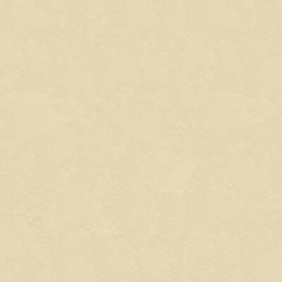 4070-1111 KRAVET DESIGN 4070-1111 KRAVET DESIGN DRAPERY