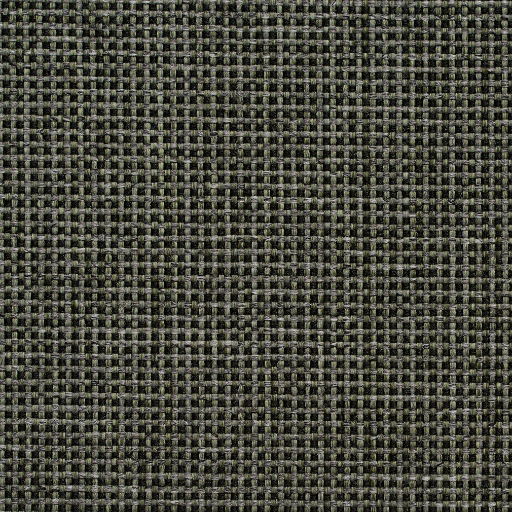 4105 Plain & Solid Forest Green Charlotte Fabrics