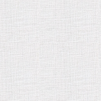 4110-101 KRAVET BASICS 4110-101 KRAVET BASICS DRAPERY