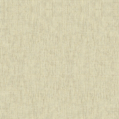 4218-1611 KRAVET DESIGN 4218-1611 KRAVET DESIGN DRAPERY