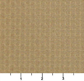 4346 Small Scale Harvest Brown Charlotte Fabrics